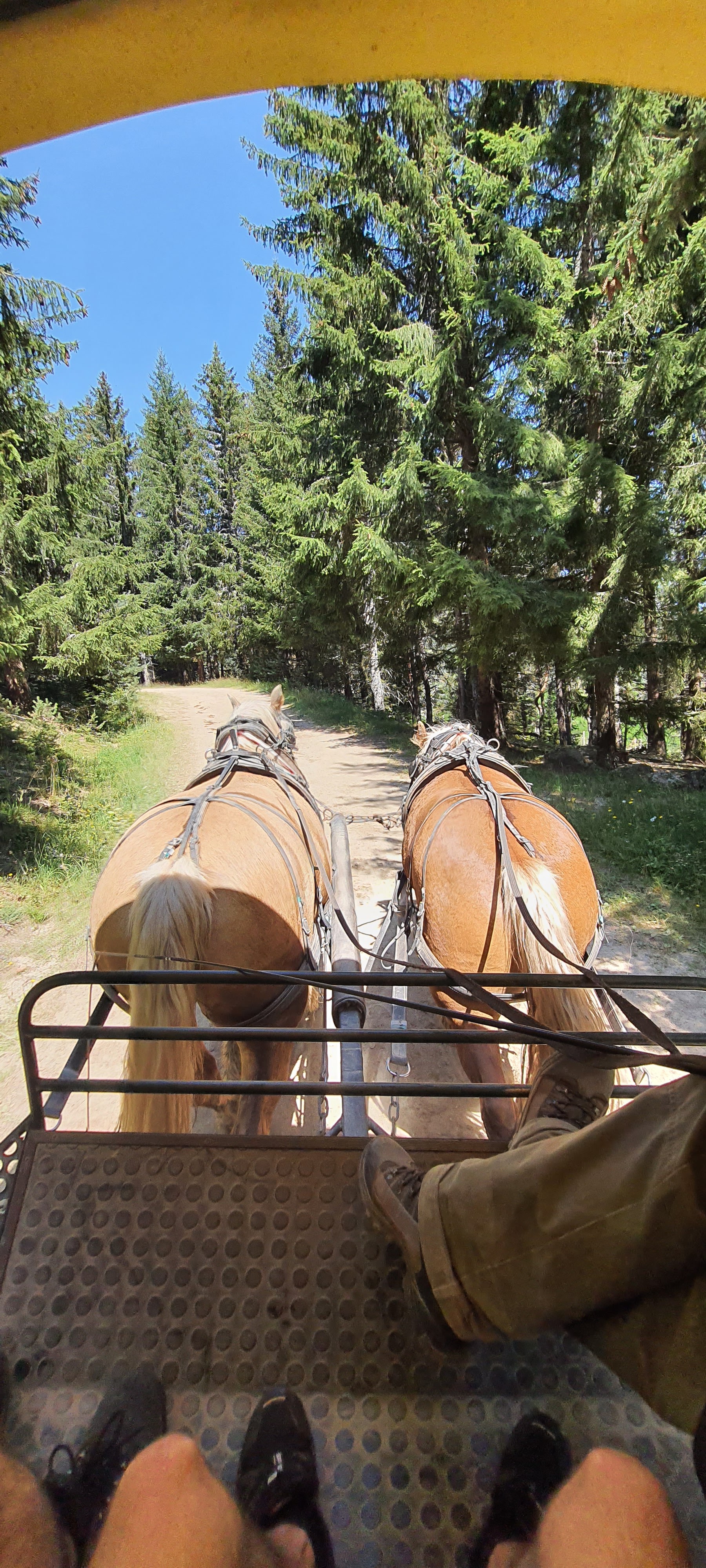 Photo n° 16 de l'avis de Benjamin.o fait le 22/08/2021 à 17:09