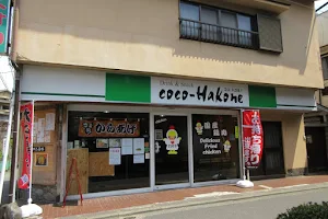 coco-Hakone image