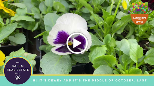 Real Estate Agency «The Salem Real Estate Group, Inc.», reviews and photos, 6444 Fairway Ave SE, Salem, OR 97306, USA