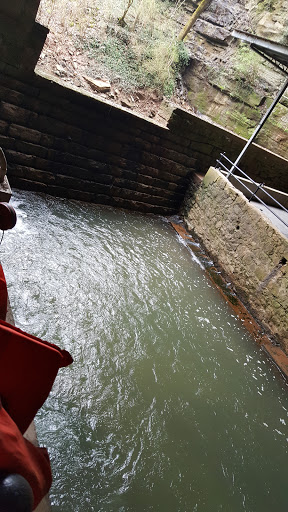 Non-Profit Organization «Lost River Cave», reviews and photos, 2818 Nashville Rd, Bowling Green, KY 42101, USA