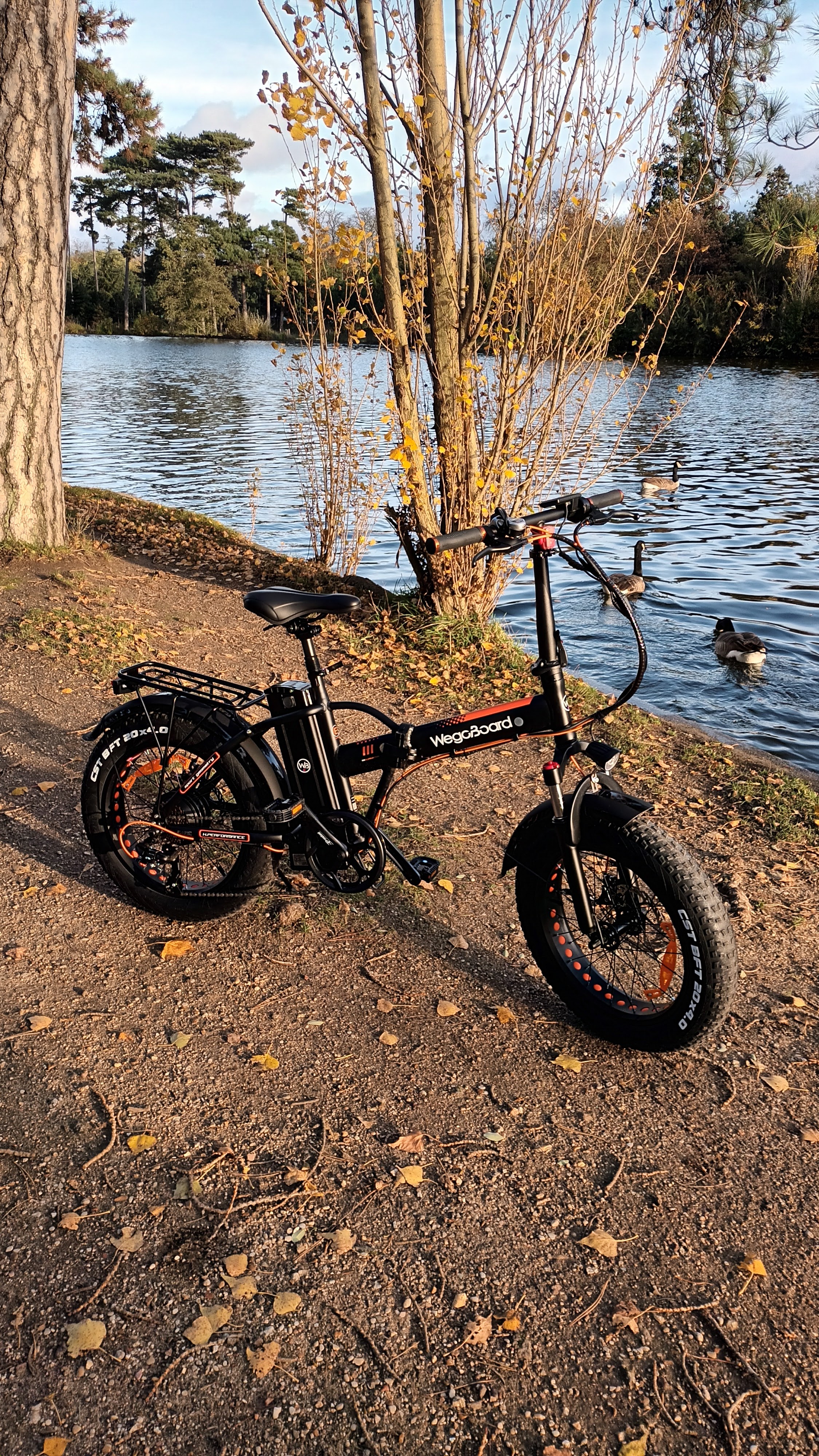 Photo n° 33 de l'avis de Wath.l fait le 13/02/2022 à 19:21