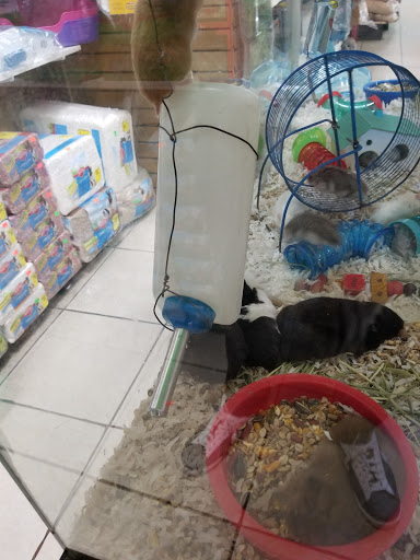Pet Store «Pet Source 1901», reviews and photos, 1901 W 8th St B, Los Angeles, CA 90057, USA