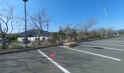 日南総合運動公園スケートボードパーク