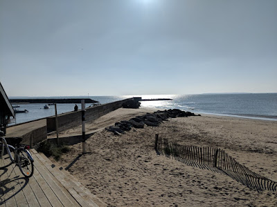 Flores de Terroirs à Châtelaillon-Plage