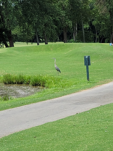 Golf Club «The Château Élan Golf Club», reviews and photos, 6060 Golf Club Dr, Braselton, GA 30517, USA