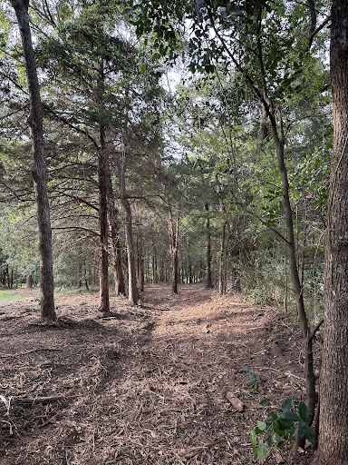 Photo of Fortitude Forestry Services LLC