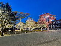 AT&T Performing Arts Center - Photo 3 - Car repair in Dallas, TX, Dallas