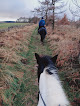 Bilsdale Riding Centre