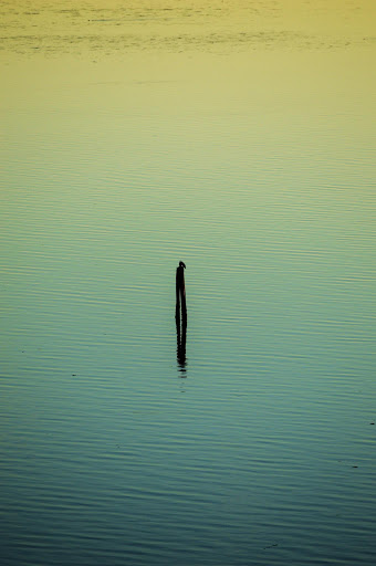 Golf Course «The Home Course», reviews and photos, Golf House Rd, DuPont, WA 98327, USA