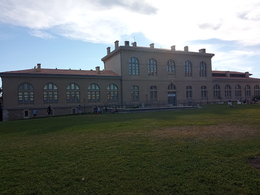 Aix-Marseille Université