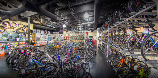 Bicycle Store «Global Bikes - Ahwatukee Bike Shop», reviews and photos, 3636 E Ray Rd #6, Phoenix, AZ 85044, USA