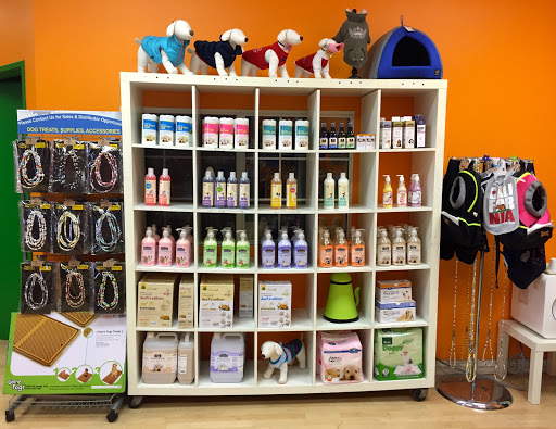 Any Pet, 11017 Shoemaker Ave, Santa Fe Springs, CA 90670, USA, 