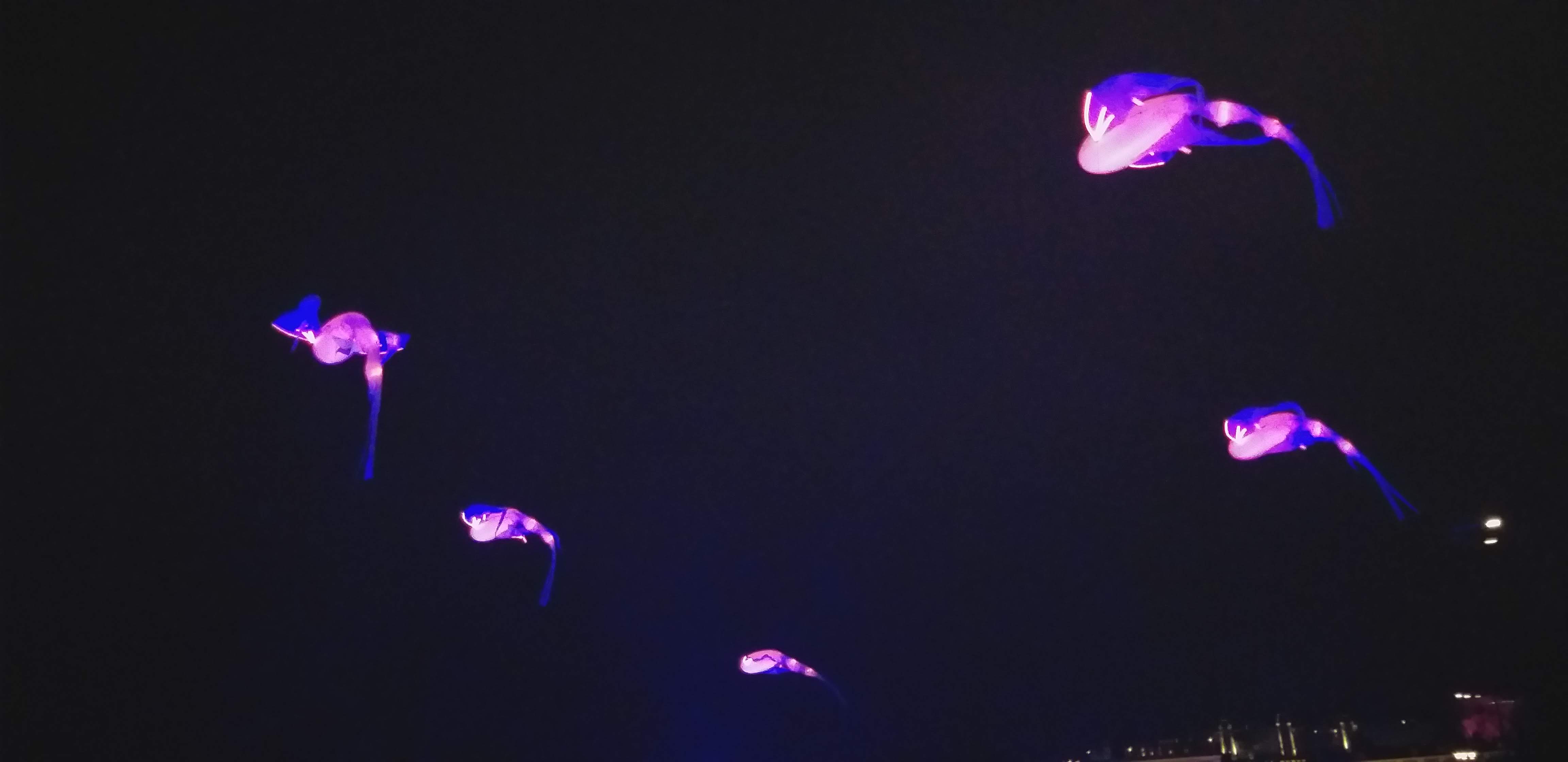 Photo n° 7 de l'avis de Elsa. fait le 10/12/2019 à 22:35