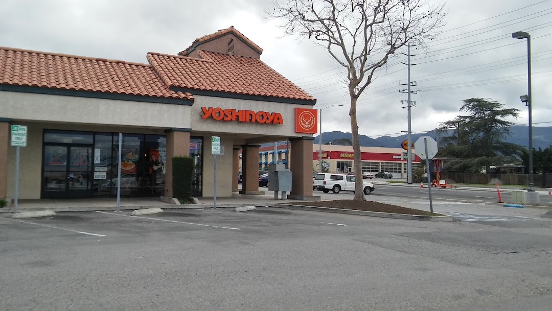 Yoshinoya Corona