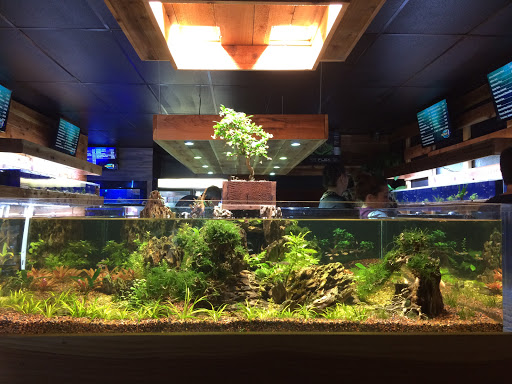 Tropical Fish Store «Kona Reef AZ - Pet Kona», reviews and photos, 10855 N 116th St #101, Scottsdale, AZ 85259, USA