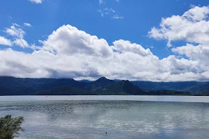 Skadarsko jezero image