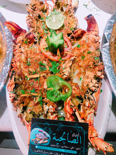 أسماك الصالحية 