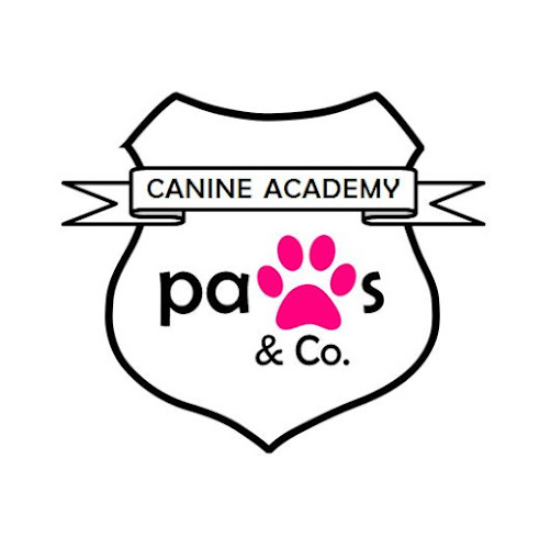 Paws & Co. Canine Academy Dog Trainer and Behaviourist - Glasgow