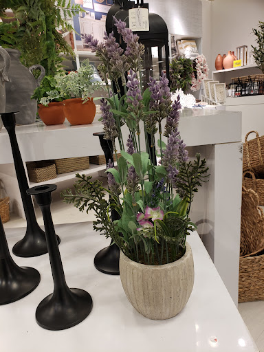 Department Store «JCPenney», reviews and photos, 6200 Grandview Pkwy, Davenport, FL 33837, USA