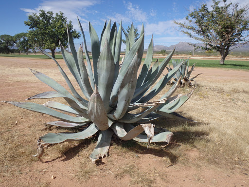 Golf Club «Turquoise Valley Golf», reviews and photos, 1794 W Newell St, Naco, AZ 85620, USA
