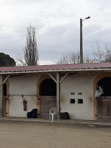 Centre Equestre Les Ecuries Du Clos à Bouguenais