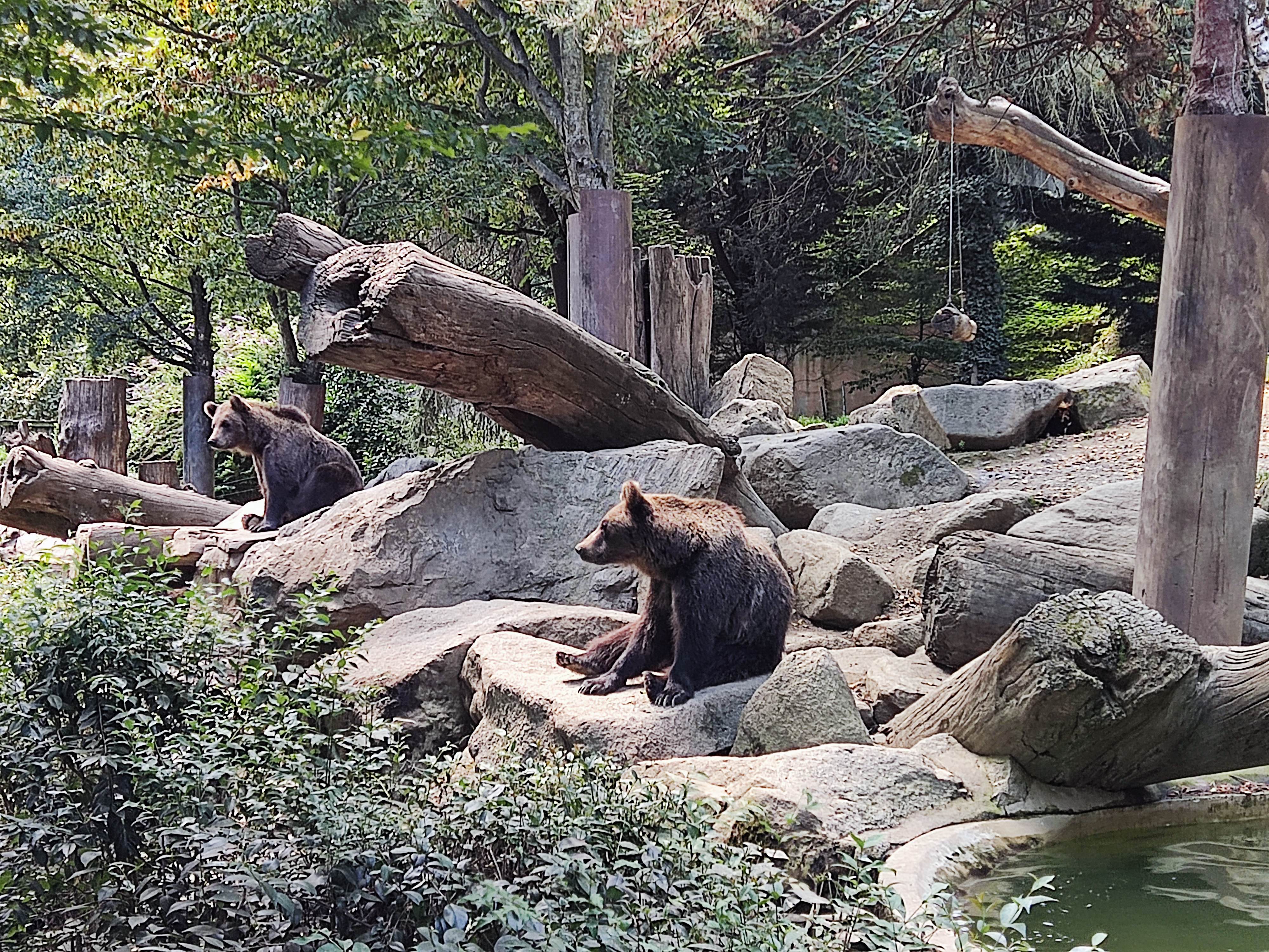 Photo n° 2 de l'avis de Jean-luc.r fait le 23/08/2023 à 13:52