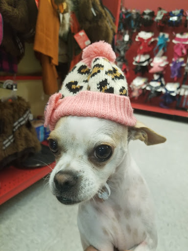 Pet Supply Store «Petco Animal Supplies», reviews and photos, 5843 N Elizabeth St, Pueblo, CO 81008, USA