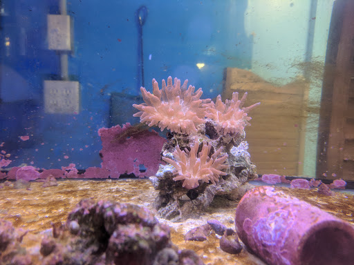 Pet Store «Marineland Pet Center», reviews and photos, 412 Oak Forest Dr, Onalaska, WI 54650, USA