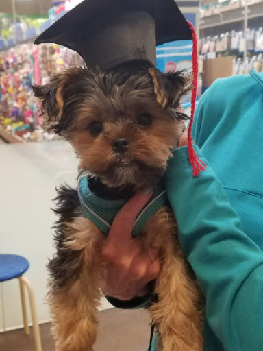 Pet Supply Store «PetSmart», reviews and photos, 10460 Town Center Dr, Westminster, CO 80021, USA