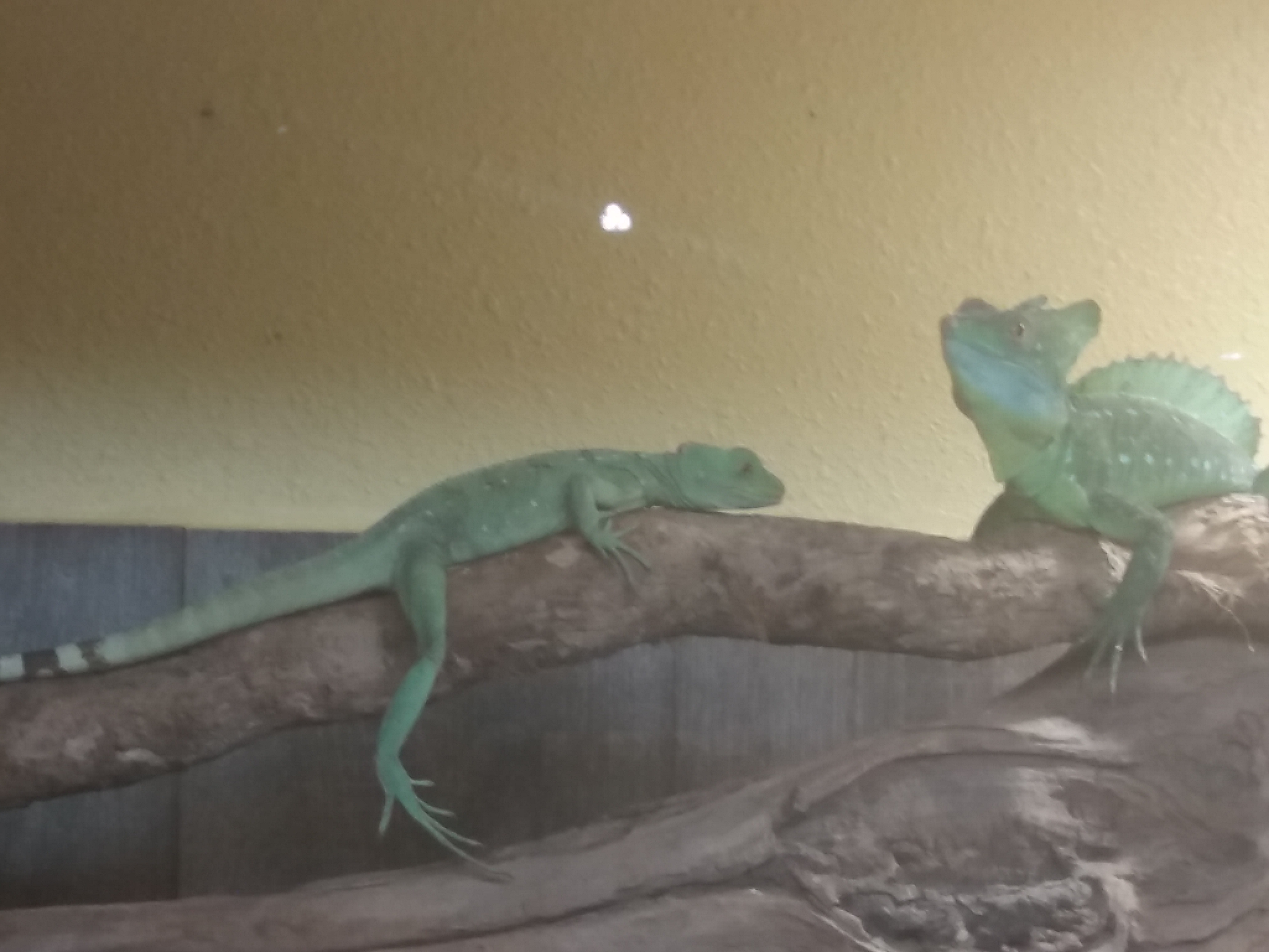 Photo n° 48 de l'avis de Damien.i fait le 21/08/2017 à 19:35