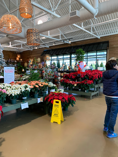 Garden Center «Pike Nurseries», reviews and photos, 615 W Crossville Rd, Roswell, GA 30075, USA