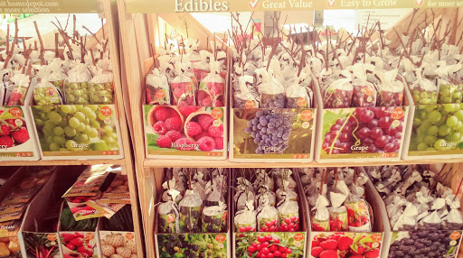 Home Improvement Store «The Home Depot», reviews and photos, 435 W Katella Ave, Orange, CA 92867, USA