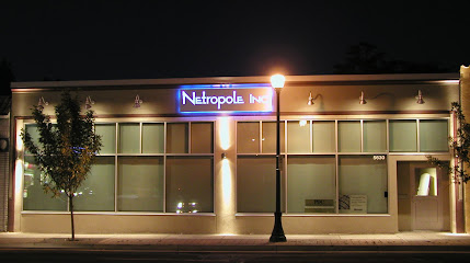Netropole Inc.
