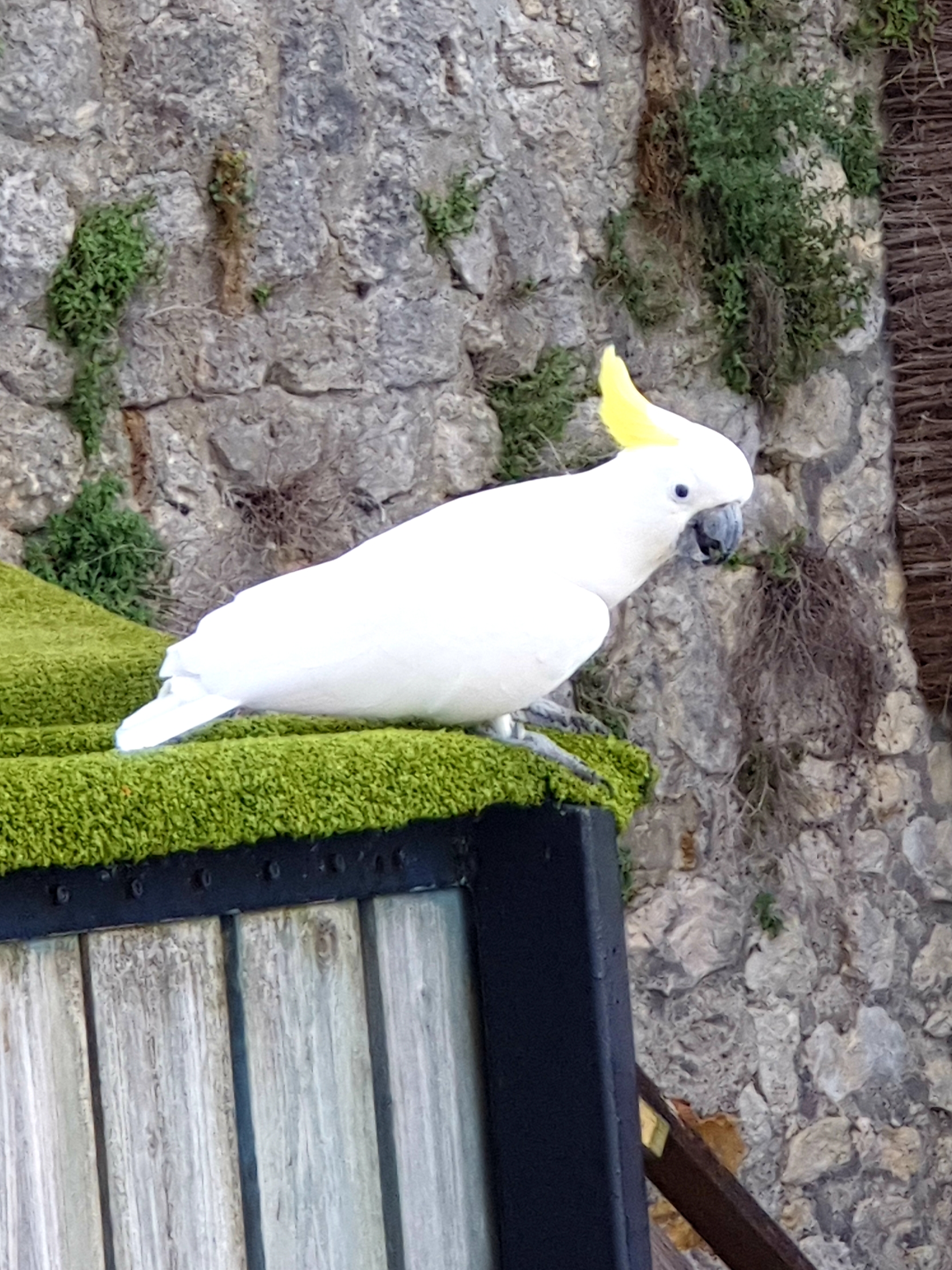Photo n° 2 de l'avis de Jessika-celia.u fait le 21/08/2019 à 21:49