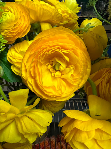Florist «J. Morris Flowers», reviews and photos, 1603 Village Market Blvd SE #108, Leesburg, VA 20175, USA