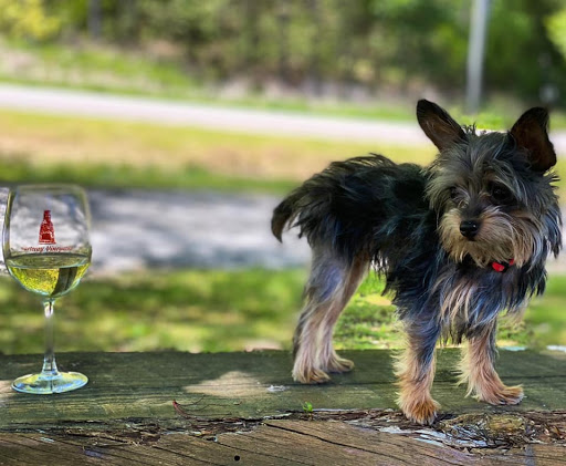 Winery «Cartecay Vineyards», reviews and photos, 5704 Clear Creek Rd, Ellijay, GA 30536, USA