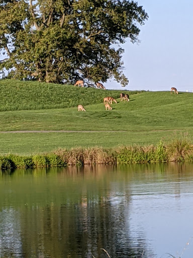 Public Golf Course «Clustered Spires Golf Club», reviews and photos, 8415 Gas House Pike, Frederick, MD 21701, USA