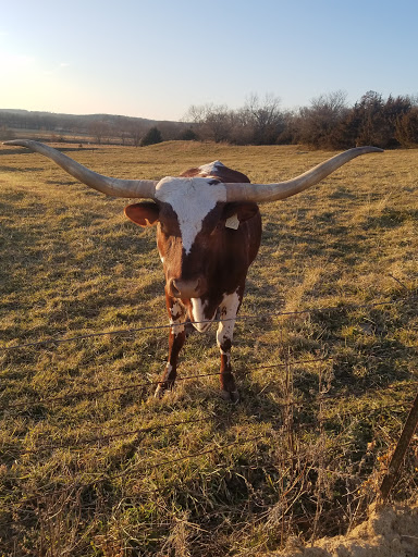 Winery «Madison County Winery», reviews and photos, 3021 St Charles Rd, St Charles, IA 50240, USA