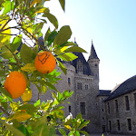 Photo n° 4 de l'avis de Jean-Pierre.o fait le 19/10/2018 à 17:14 pour Château de Jumilhac et ses Jardins à Jumilhac-le-Grand