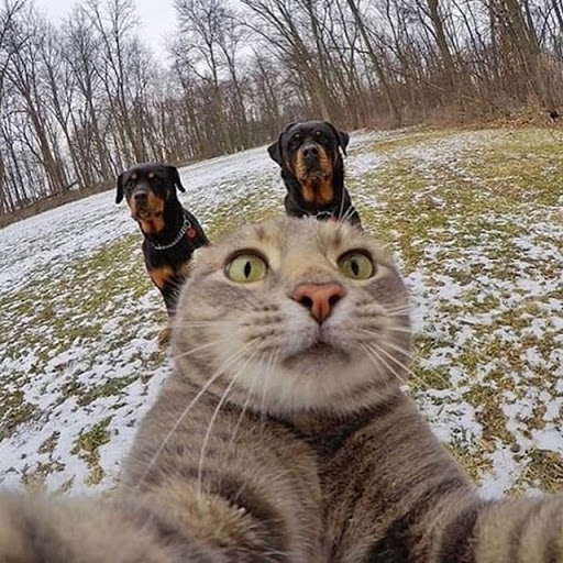 Movie Theater «Marcus South Shore Cinema», reviews and photos, 7261 South 13th Street, Oak Creek, WI 53154, USA