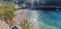 Mala Pogorila II beach'in fotoğrafı vahşi alan