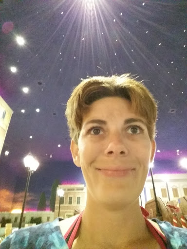 Water Park «Venetian Waterpark at Holiday Inn Hotel Maple Grove/Arbor Lakes», reviews and photos, 11801 Fountains Way, Osseo, MN 55369, USA