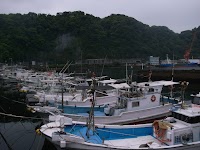 山川港