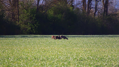 Parking pour la randonnée à Giverny