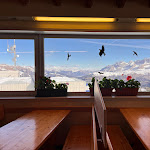 Photo n°4 de l'avis de lidia.a fait le 19/02/2023 à 13:54 sur le  DOSS Alpine Style - Attic Restaurant - Bar - Rifugio à Pinzolo