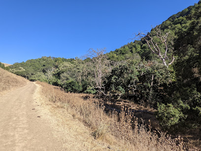 Tolman Peak Trail