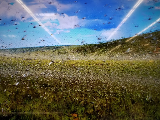 Department Store «Walmart Supercenter», reviews and photos, 125 Pavilion Pkwy, Fayetteville, GA 30214, USA