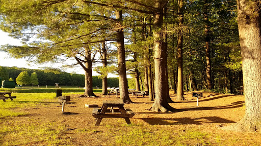 State Park «Hopkinton State Park», reviews and photos, 164 Cedar St, Hopkinton, MA 01748, USA