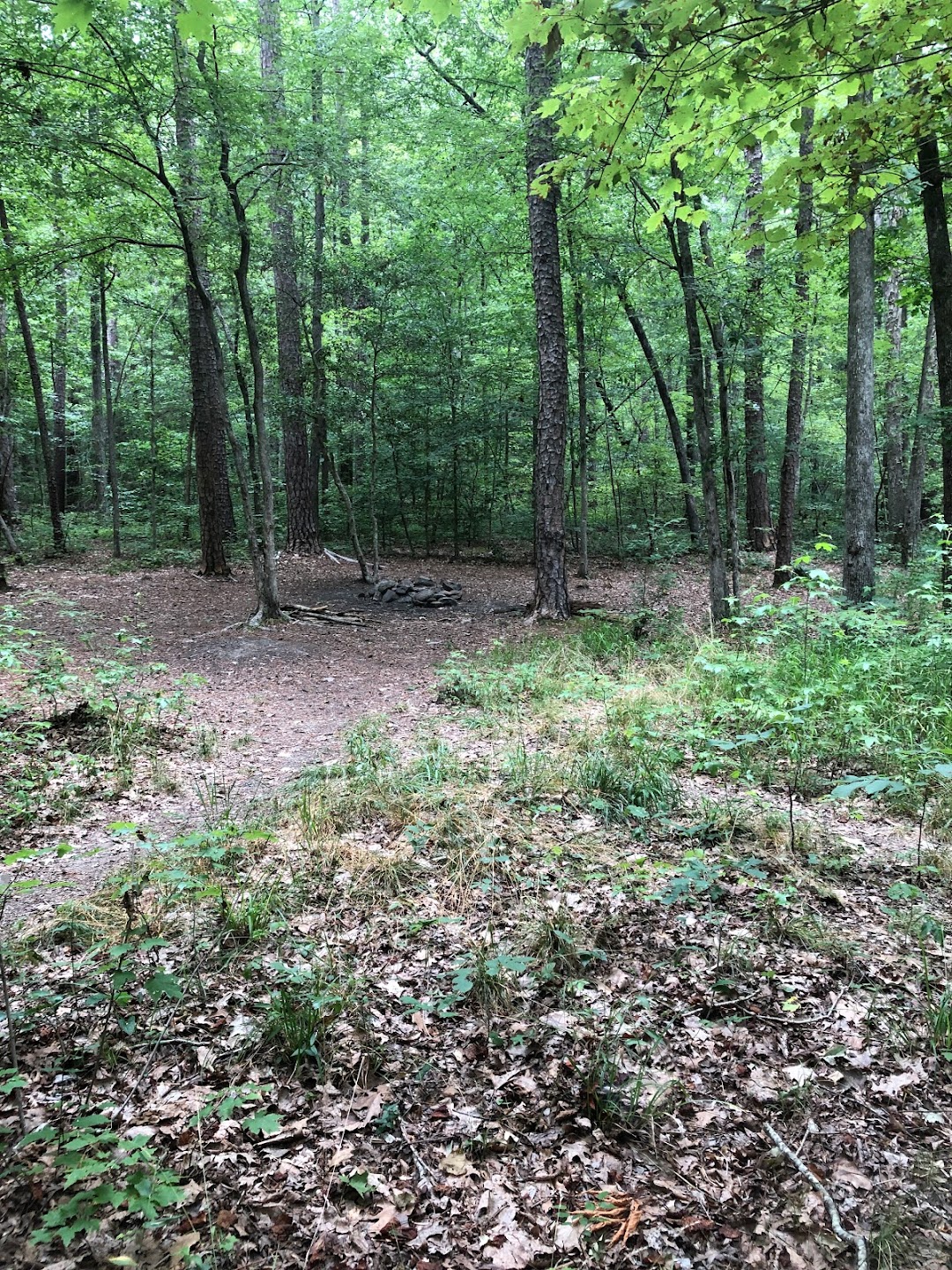 Tot Hill Farm Trailhead