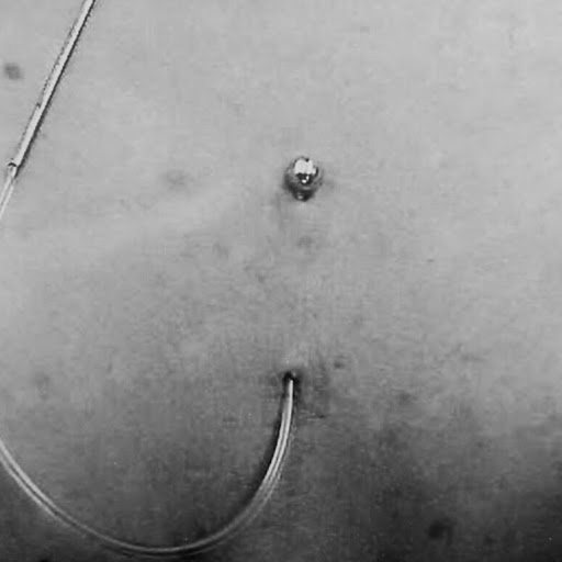 Explore cool arm sleeve tattoo ideas, creative tattoo ideas in Albuquerque, available at Staceys Exotic Body Piercing and Tattoo